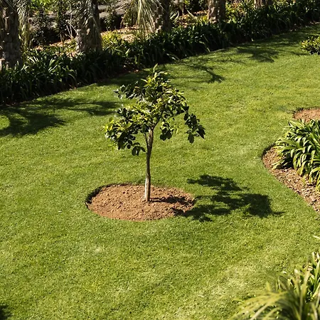 Azores Homes Resort&spa