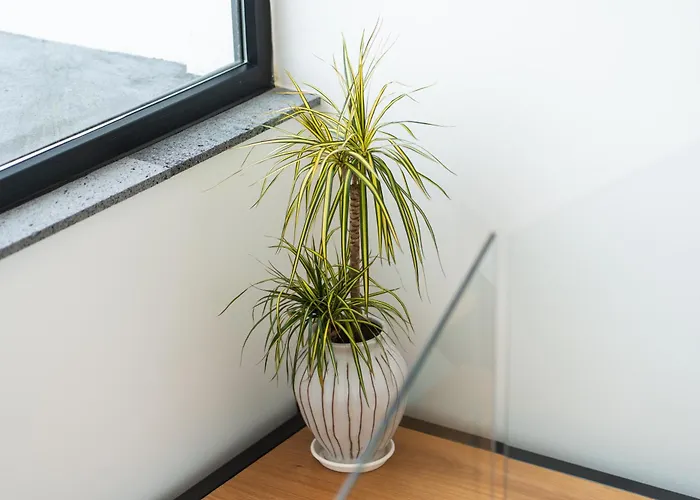 Azores Homes & ホテル 4*